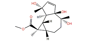 1,4,10-Trihydroxy-2-aromadendren-12-oic acid methyl ester